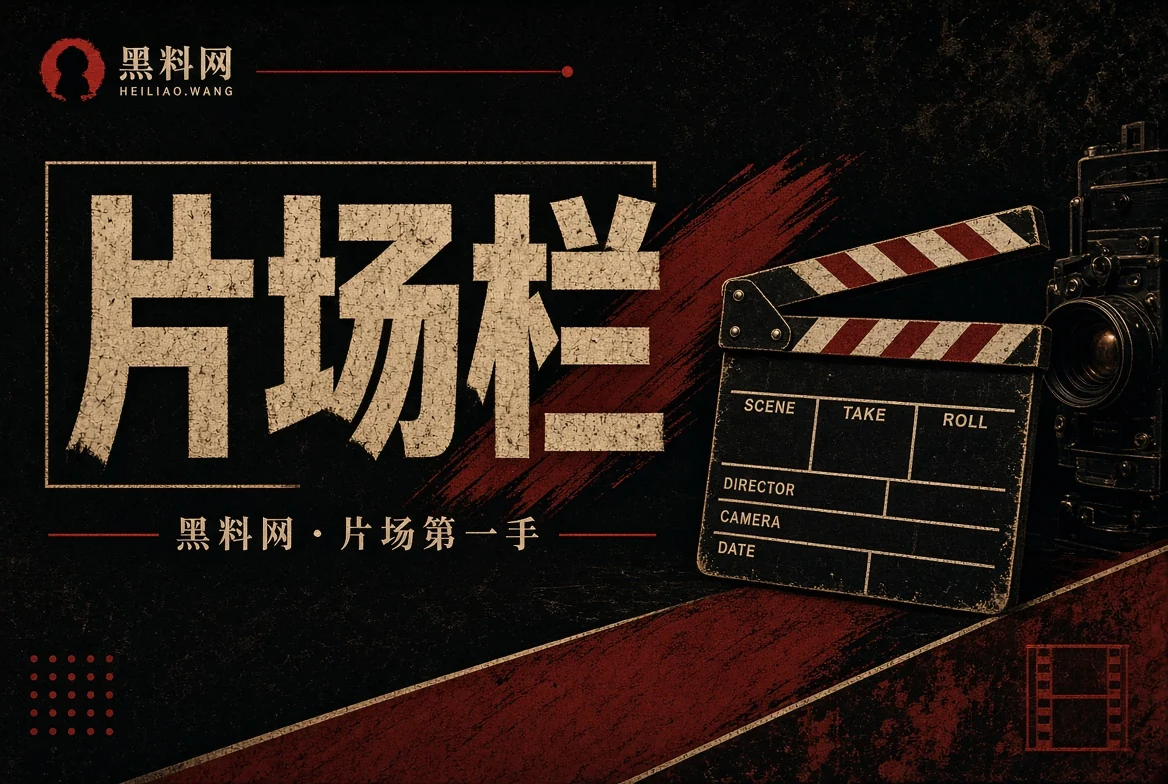 影视观察作品内容与宣传资料